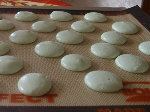 Coques de Macarons - image 2