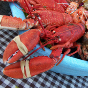 Plateau de Fruits de Mer