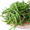 Recette Salade de Salicornes (Accompagnement - Gastronomique)
