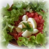 Salade Feuilles de Chêne