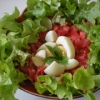 Recette Salade Feuilles de Chêne (Plat principal - Cuisine allégée)