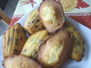 Madeleines - image 2