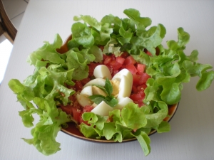 Salade Feuilles de Chêne - image 1