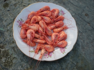 Bouquet de Crevettes - image 5