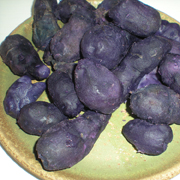 Pommes de terre Vitelotte