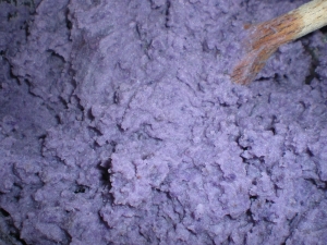 Pommes de terre Vitelotte - image 1