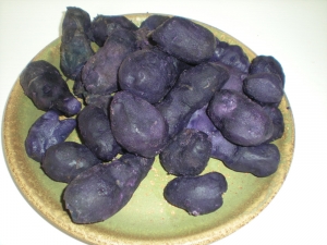 Pommes de terre Vitelotte - image 4