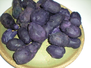 Pommes de terre Vitelotte - image 5