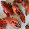 Recette Homards de Cherbourg (Plat principal - Gastronomique)