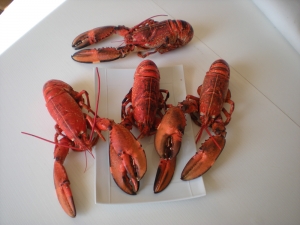 Homards de Cherbourg - image 1