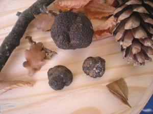 Pâtes Fraiches aux Truffes Noires - image 4