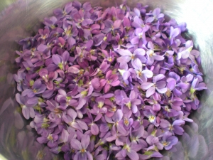 Verrine de "Violettes" - image 2