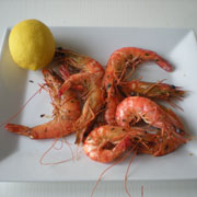 Gambas Grillées