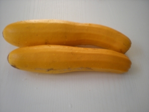 Courgettes Jaunes - image 5