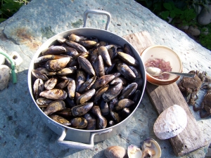 Moules à la Sauce Normande - image 1