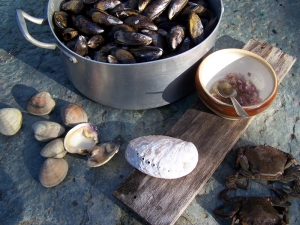 Moules à la Sauce Normande - image 2
