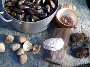 Moules à la Sauce Normande - image 3