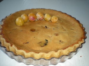 Flan aux Mirabelles, Noix de Coco - image 3