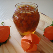 Physalis  (amour en cage)