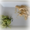 Recette Aiguillettes de Poulet et Linguines de Courgette (Plat complet - Entre amis)