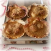 Coquilles Saint Jacques