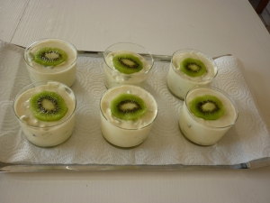 Panna Cotta aux Kiwi - image 1