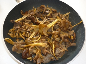 Chanterelles Grises ou Giroles - image 1