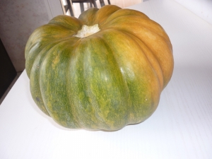 Courge Musquée en Gratin - image 5