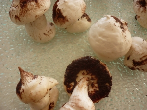 Champignons en Meringue Suisse - image 2