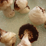 Champignons en Meringue Suisse