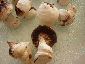 Champignons en Meringue Suisse - image 4