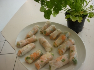 Rouleaux de Printemps aux Crevettes - image 1