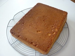 Gâteau au Chocolat Blanc - image 2