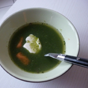 Velouté de Salade