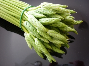 Ornithogales des Pyrénées (Asperges des Bois) - image 4