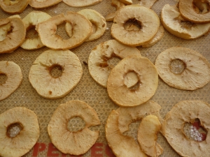 Tranches de Pommes Séchées - image 1