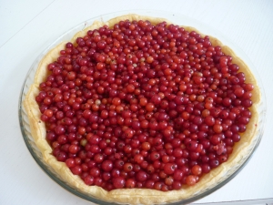 Tarte aux Groseilles Meringuées - image 2