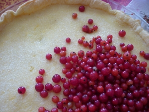 Tarte aux Groseilles Meringuées - image 3