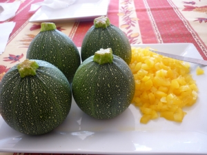 Courgettes Boules + Tomates Farcies - image 4